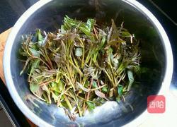 巧腌香椿芽的做法图解1