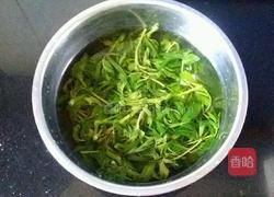 巧腌香椿芽的做法图解3