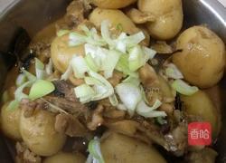 小土豆炖鸡块的做法图解12