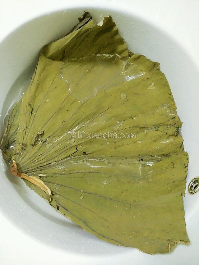 把荷叶清水洗净，再用热开水冲净，沥水备用。