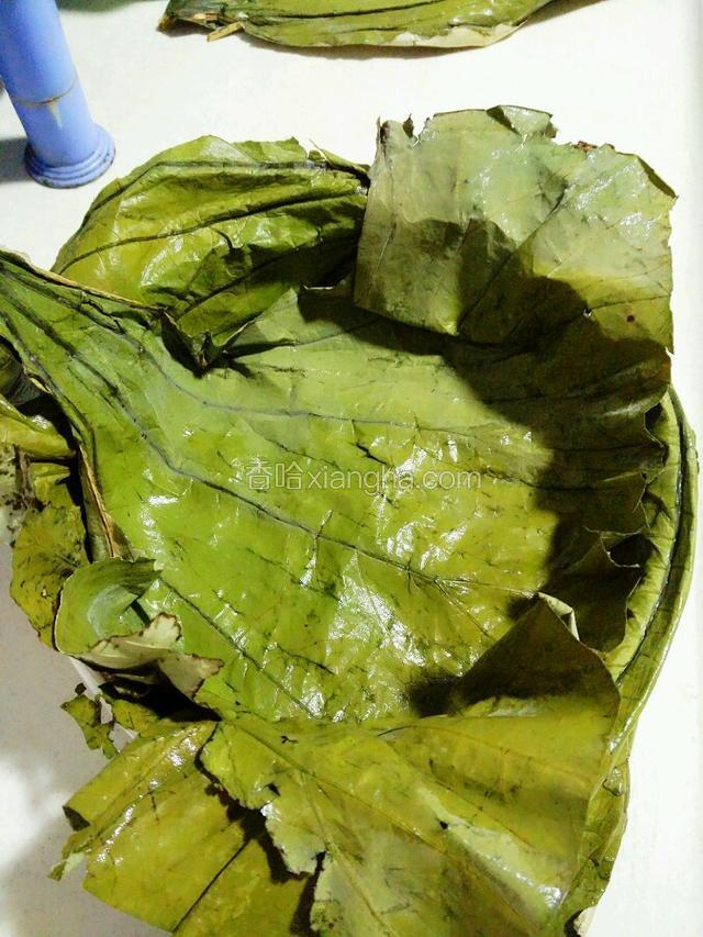 把荷叶摊铺在蒸笼上。
