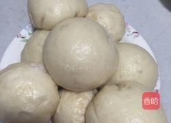 奶黄包的做法图解4