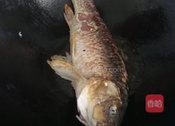 草鱼汤的做法图解4