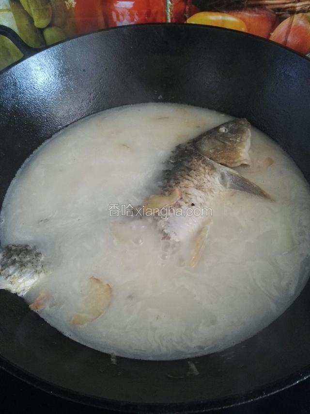 这时候鱼汤已经变为嫩白