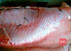 糍粑鱼的做法图解1