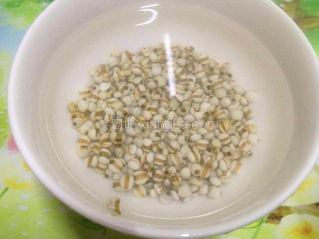 薏米事先浸泡20分钟.