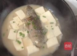 豆腐鱼汤的做法图解7