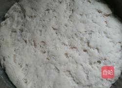 蒸包子的做法图解3