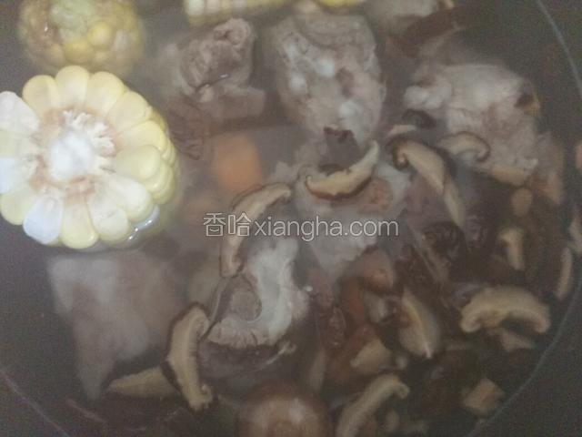 一同与排骨放进煲汤锅里，加入清水覆盖食材的位置