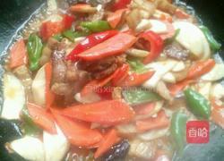 鸡腿菇炒肉的做法图解8