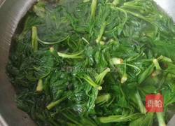 凉拌刺五加的做法图解2