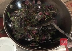 菜籽油清炒红觅菜的做法图解4