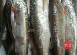 红烧刁子鱼的做法图解1