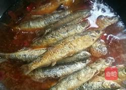 红烧刁子鱼的做法图解7