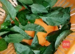 枸杞叶炒鸡蛋的做法图解2