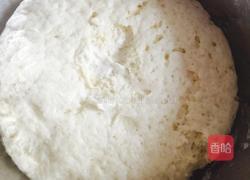 牛肉披萨的做法图解1