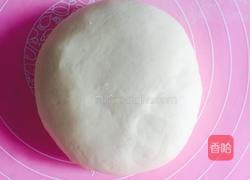 牛肉披萨的做法图解2