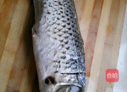 清蒸鲤鱼的做法图解1