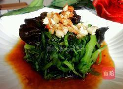 蒜油泡菠菜的做法图解5