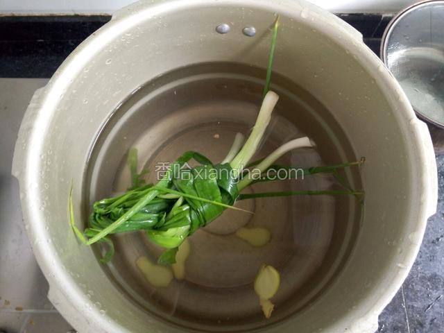用高压锅，放适量的水加上姜片，葱圈，大火烧至水开。（放葱卷主要是让汤更浓郁，更有葱味，）