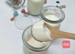 牛奶布丁的做法图解5