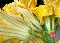 酿南瓜花的做法图解1