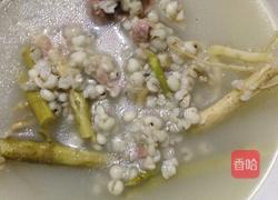 薏米藤菜猪骨汤的做法图解4