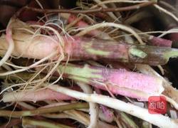 薏米藤菜猪骨汤的做法图解2