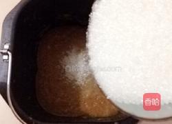 枇杷膏的做法图解5