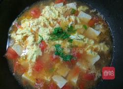 西红柿鸡蛋豆腐汤的做法图解10