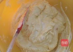 免烤芒果芝士蛋糕的做法图解6