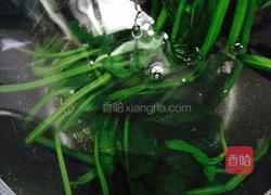 姜蒜香汁菠菜的做法图解5