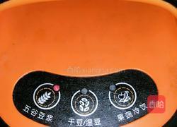 营养豆浆的做法图解9