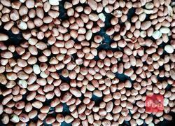 挂糖花生的做法图解3