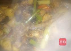 新疆正宗秘制大盘鸡的做法图解3