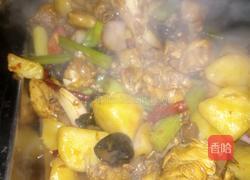 新疆正宗秘制大盘鸡的做法图解4