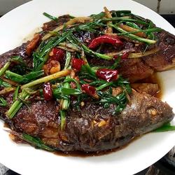 葱焖鲫鱼的做法[图]