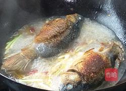 葱焖鲫鱼的做法图解6