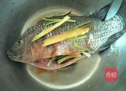 凉拌鲫鱼的做法图解3