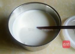 自制酸奶的做法图解5