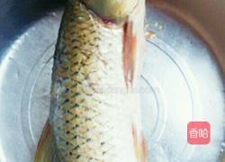 武汉糍粑鱼的做法图解1