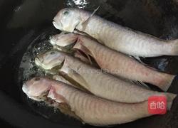 香煎马头鱼的做法图解2