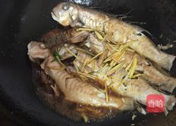 香煎马头鱼的做法图解3