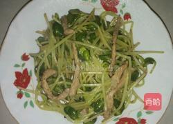 肉丝炒豆苗的做法图解8