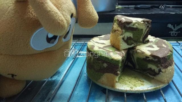 摆拍
