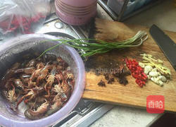 红烧小龙虾的做法图解1