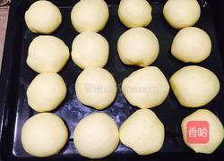 奶香小面包的做法图解9