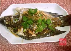 清蒸罗非鱼的做法图解8