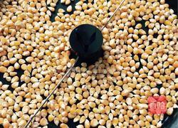 手工泡米花的做法图解1