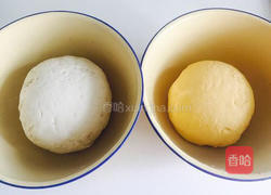 红枣南瓜馒头的做法图解3